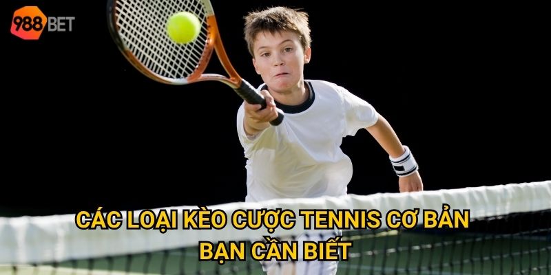 Các loại kèo cược tennis cơ bản bạn cần biết