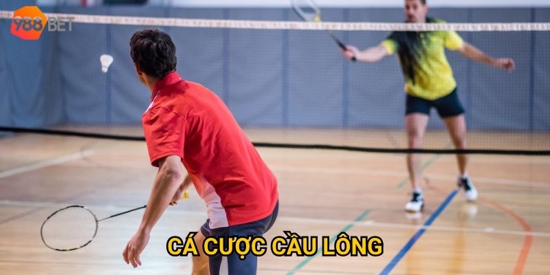 Ở đâu có thể cá cược cầu lông với tỷ lệ hấp dẫn như tại 988Bet? 5 Ở đâu có thể cá cược cầu lông với tỷ lệ hấp dẫn như tại 988Bet?
