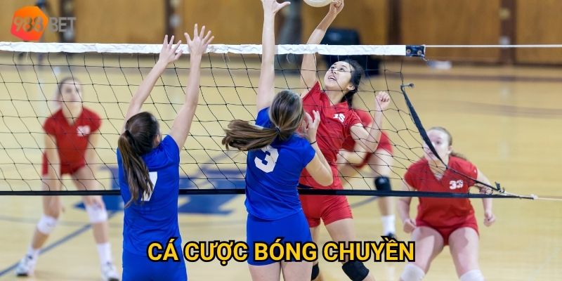 Vì sao cá cược bóng chuyền tại 988Bet lại trở thành xu hướng? 1 Vì sao cá cược bóng chuyền tại 988Bet lại trở thành xu hướng?